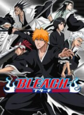 bleach-full-color.jpg